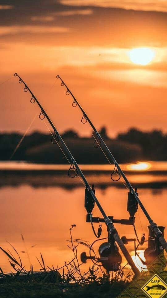 Golf, pesca y recorridos cercanos