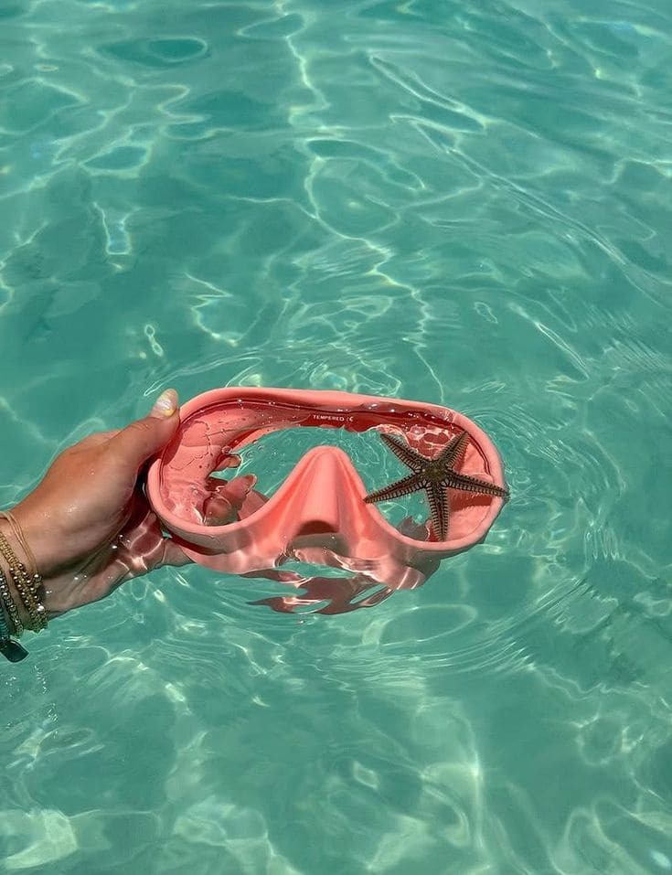 Snorkel y actividades acuáticas